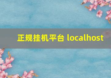 正规挂机平台 localhost